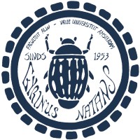 Gyrinus Natans